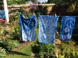 Indego dyeing