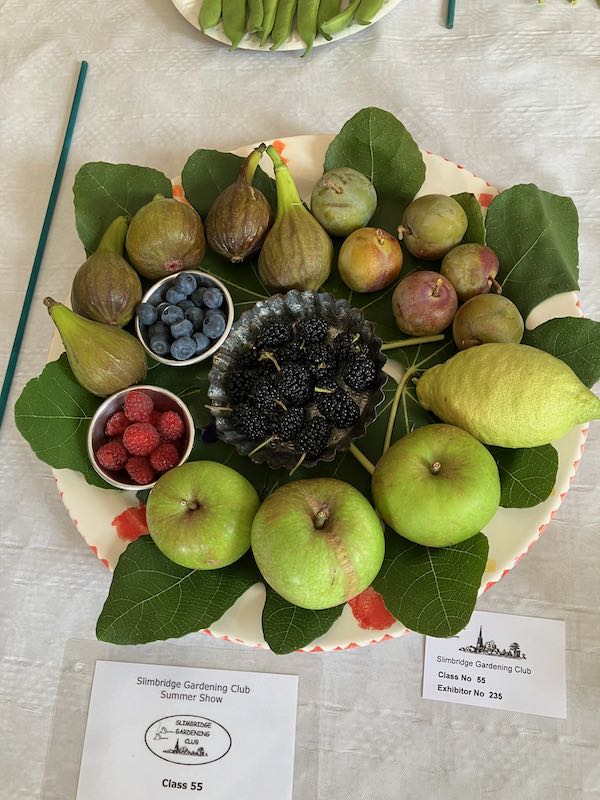 Fruit Arrangement Danielle Ellis