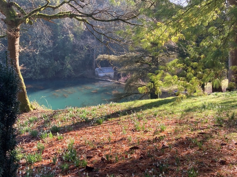 The Blue Lake at Colesbourne