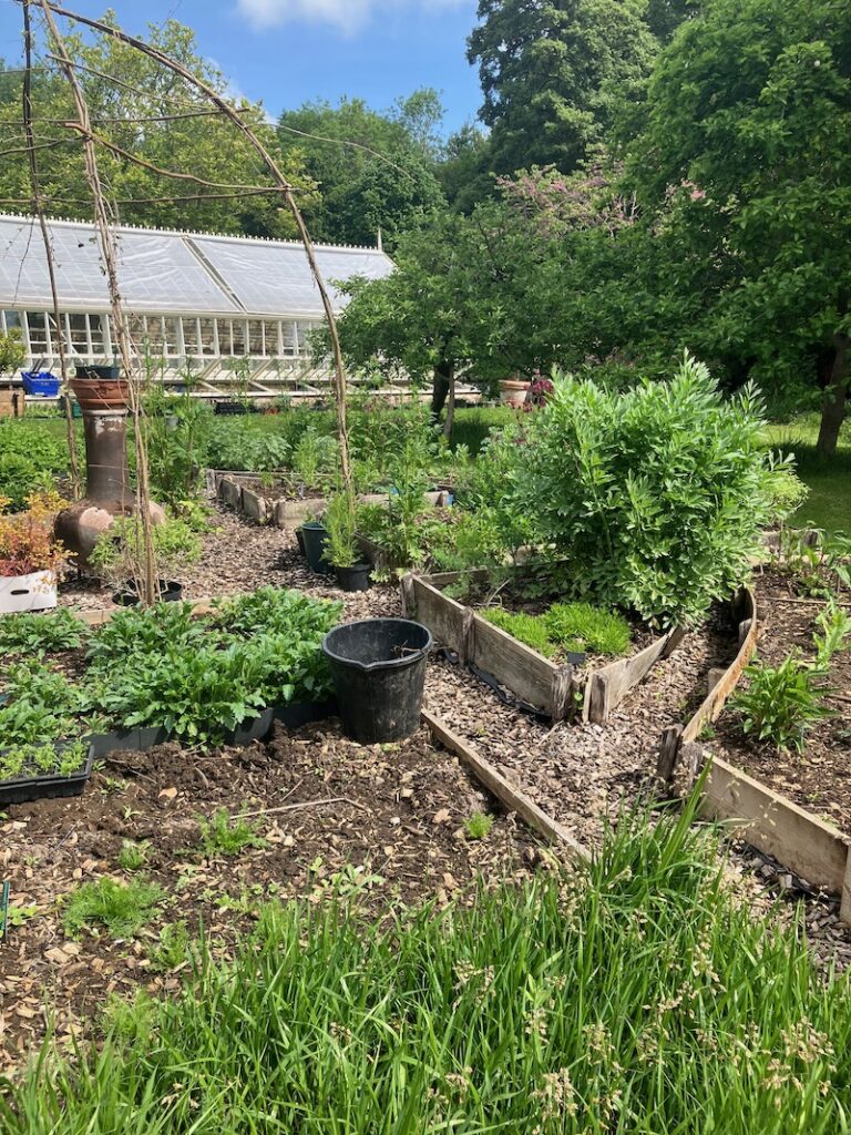 The herb garden, Shipton Mill