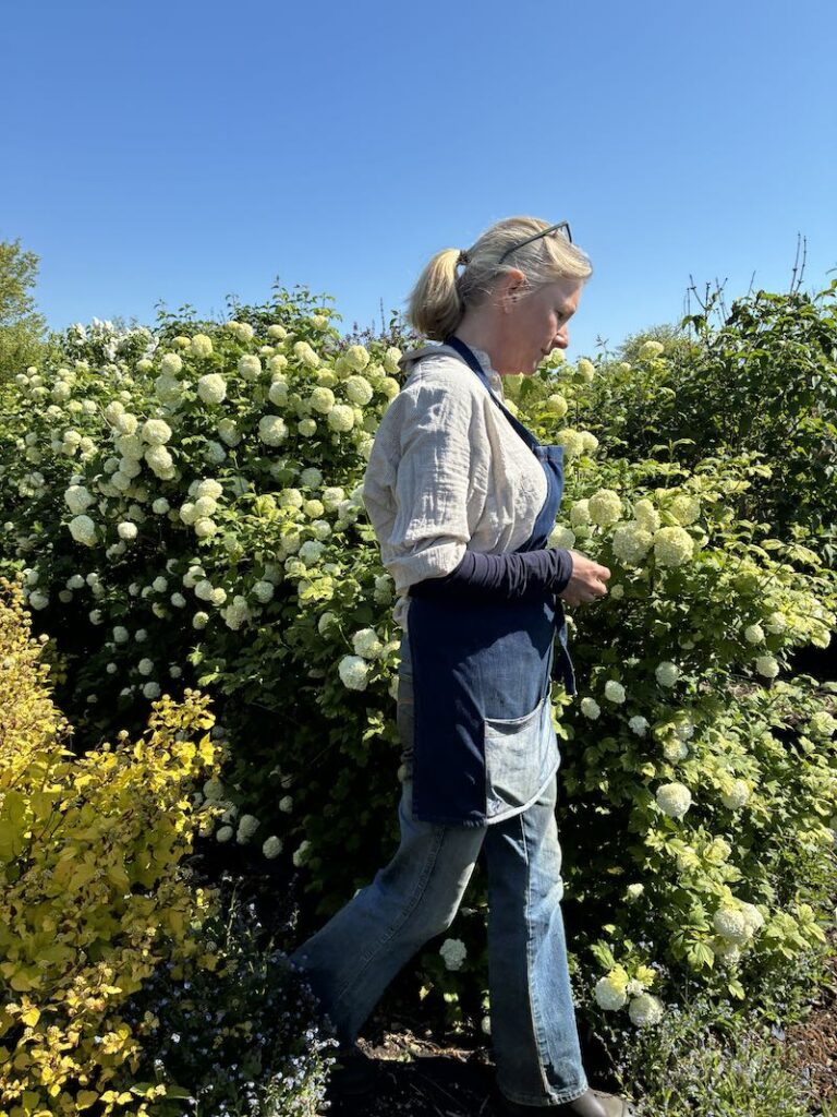 Tif at Chippy Flower Farm