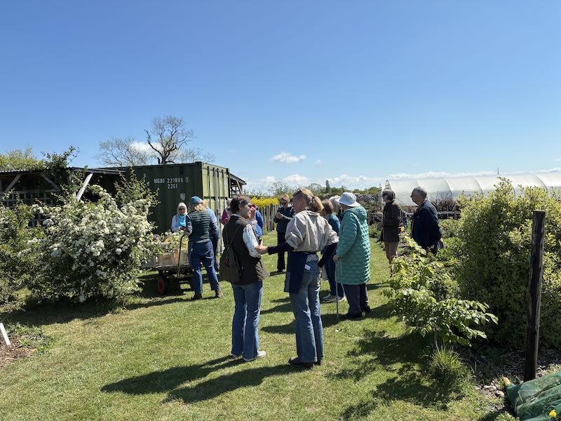 u3a Floristry Group at Chippy Flower Farm